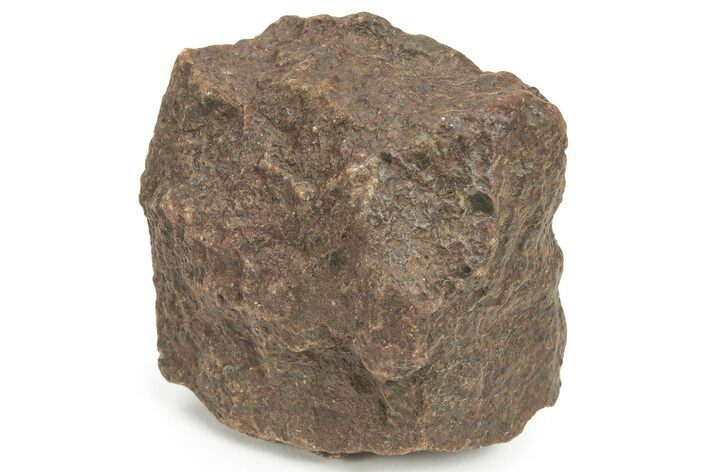 Chondrite Meteorite ( grams) - Western Sahara Desert #232923